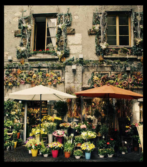 tumblr_mc1yauSNV81r8qlrro1_500